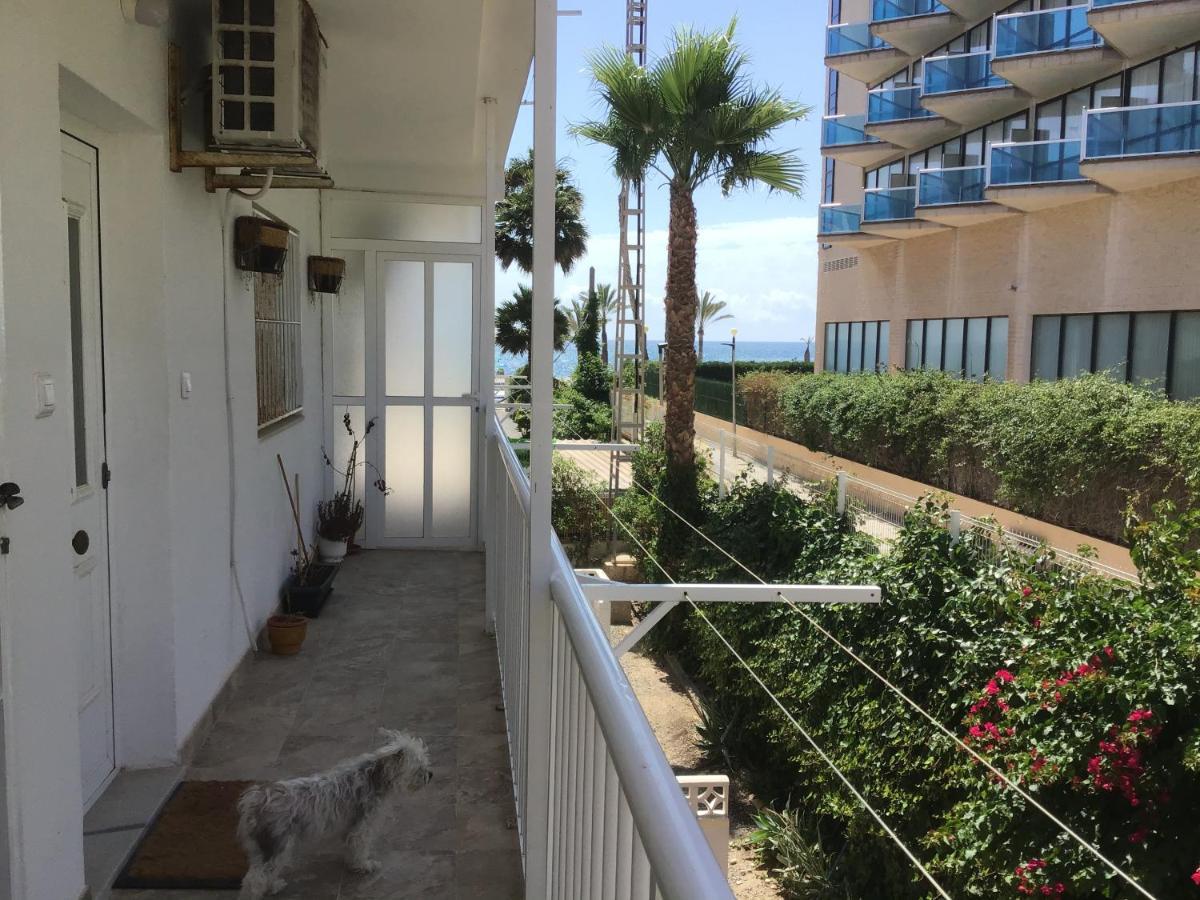 Carpe Diem Apartment El Albir ภายนอก รูปภาพ